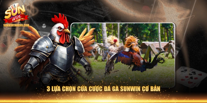 3 lựa chọn cửa cược đá gà SUNWIN cơ bản