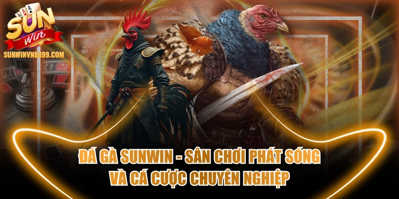 Đá Gà SUNWIN - Sân Chơi Phát Sóng Và Cá Cược Chuyên Nghiệp