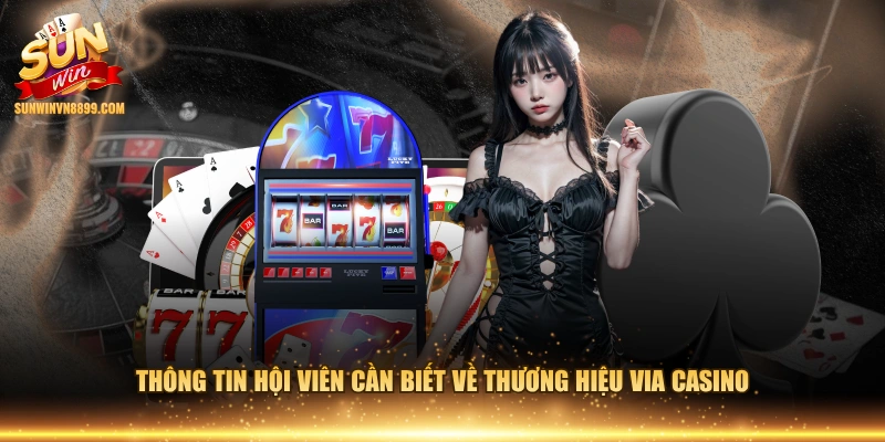 Thông tin hội viên cần biết về thương hiệu Via Casino