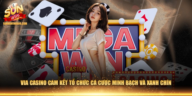 Via Casino cam kết tổ chức cá cược minh bạch và xanh chín